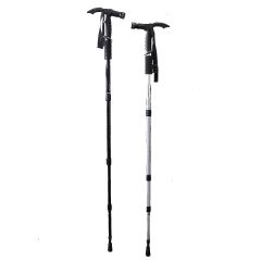 Туристическа щека